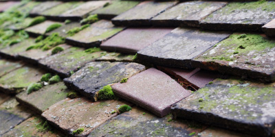Rowsham roof repair costs